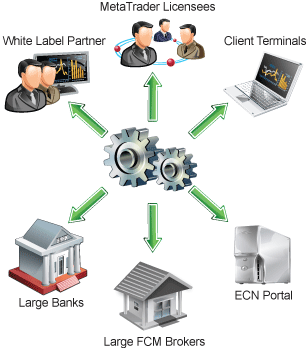 forex ecn trading monitors