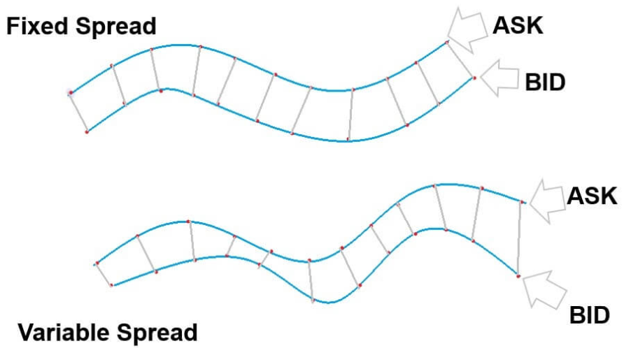 Hvilke typer spreads er der i Forex